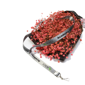 Gancho de Nylon respetuoso del medio ambiente llavero Correa titular de la <span class=keywords><strong>tarjeta</strong></span> de cordón - Product Image 3