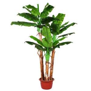 Paisaje de la Decoración de Árbol de Plátano Artificial Para El Instituto - Product Image 1