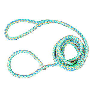 <strong>Double</strong> Thick Rope 550 Paracord <strong>Dog</strong> Leash Slip <strong>Lead</strong> - Product Image 1