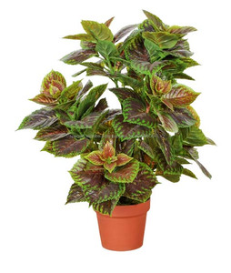 Barato chino aire bonsai artificial banyan árbol bonsai bonsai de interior plantas de árboles de plástico - Product Image 4