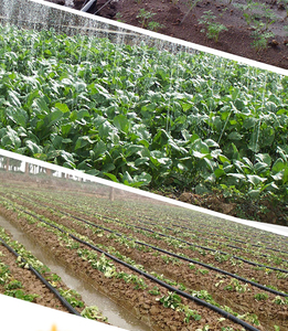Tubo Spray PE per Irrigazione a Microirrigazione - Product Image 5