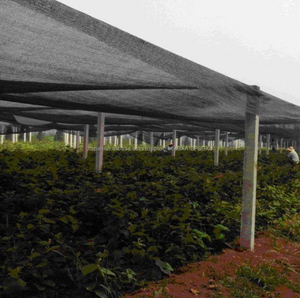 30%-95% green/black mesh network sun shade net for greenhouse/crops protection/up networks greenhouse shade screen mesh - Product Image 1