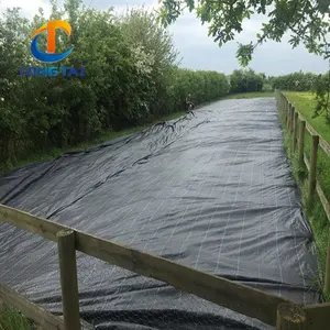 De servicio pesado paisaje de Agronomía de efecto invernadero Tierra cubierta de plástico de PP de 90gsm respetuoso del medio ambiente en el jardín de película de plástico cubierta de tierra - Product Image 2