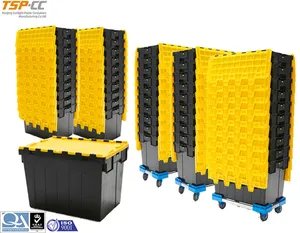 Aangepaste professinal plastic container met deksels bewegende doos
