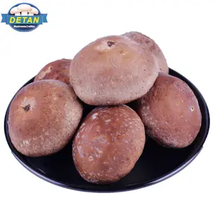 Detan shiitake frescos precios de mercado de setas