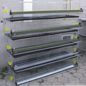 Diseño automático de capa jaulas de pollo comercial <span class=keywords><strong>codorniz</strong></span> capa jaula - Product Image 2