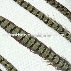China proveedor barato plumas de <span class=keywords><strong>faisán</strong></span> del ringneck - Product Image 5