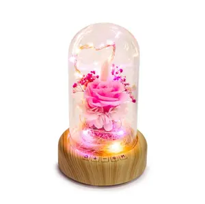 LED Wishing Flasche Licht Lampe drahtlose Lautsprecher Ewige Blume Glas Traum Wünschen Streamer Flasche Licht Nacht Lampe