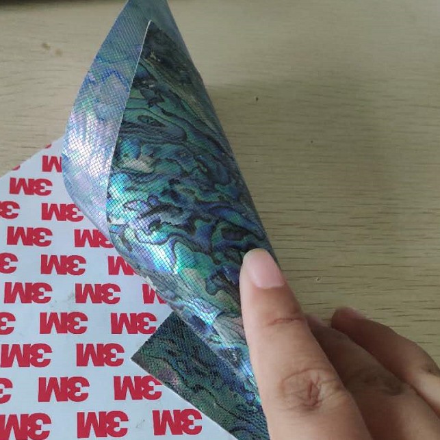 GORGECRAFT 5.5X9.5 2Pcs Abalone Shell Sticker Australia | Ubuy