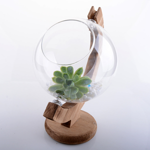 <span class=keywords><strong>Vase</strong></span> Globe en verre transparent moderne <span class=keywords><strong>avec</strong></span> support en <span class=keywords><strong>bois</strong></span> rustique Terrarium pour la décoration de la maison et de la salle à manger pour les hôtels - Product Image 4