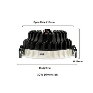 30watt Cob Led <strong>Downlight</strong> with the Cut Out 210mm - Product Image 4
