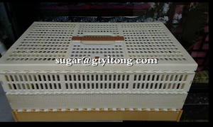 Kandang Lipat Merpati Pelatihan Plastik ABS, Kandang Lipat Terbang - Product Image 4