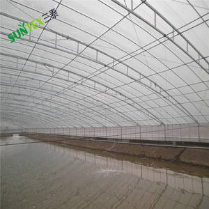 Telo in Tessuto PE per Serre a Tunnel, Membrana Impermeabile Trasparente, Copertura in Tessuto per Ortaggi Esterni - Product Image 3