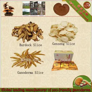 Organic ginseng, Ganoderma lucidum e bardana mistura de chá