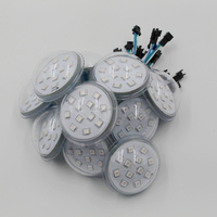 UCS2903 24V Amusement Ride Park Éclairage 60mm Cabochon Ampoules