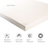 Matelas hybride Queen Size en fibres de noix de coco pour appartement et hôtel 5 étoiles