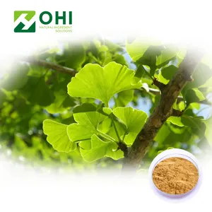 TLC 4:1 10:1 Lactone Ginkgo Biloba Folha Extract Powder 24% Ginkgo Flavonoides/6% Ginkgolide /1% Ginkgolic acid