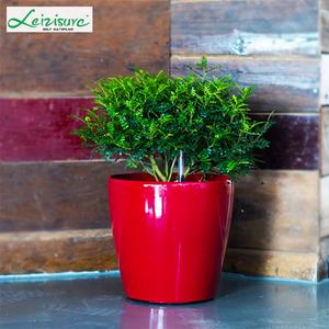 Maceta de plástico duradero para plantas, sistema hidropónico decorativo redondo de gran tamaño, para jardín y hogar - Product Image 3