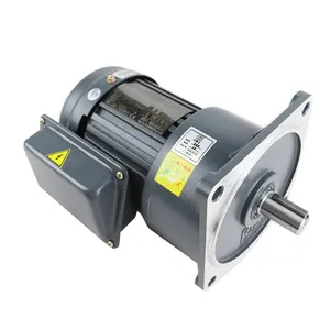 vertical type 220V 750W single phase AC gear motor