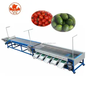 Mini Tomato Sorting Machine / Olive Classifier