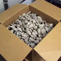 Mini Varas de Mancha de Sálvia Branca 3.50-4"