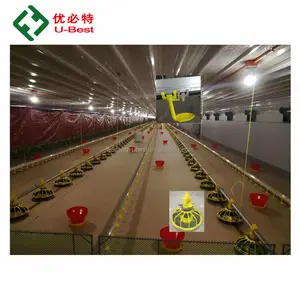 China Factory Supply Animal Automatic Poultry Feeders and Drinkers Equipment for Farming Broiler Chicken