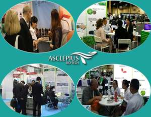 Натуральный экстракт корня цикория и линолин Премиум растительный экстракт продукта - Product Image 4