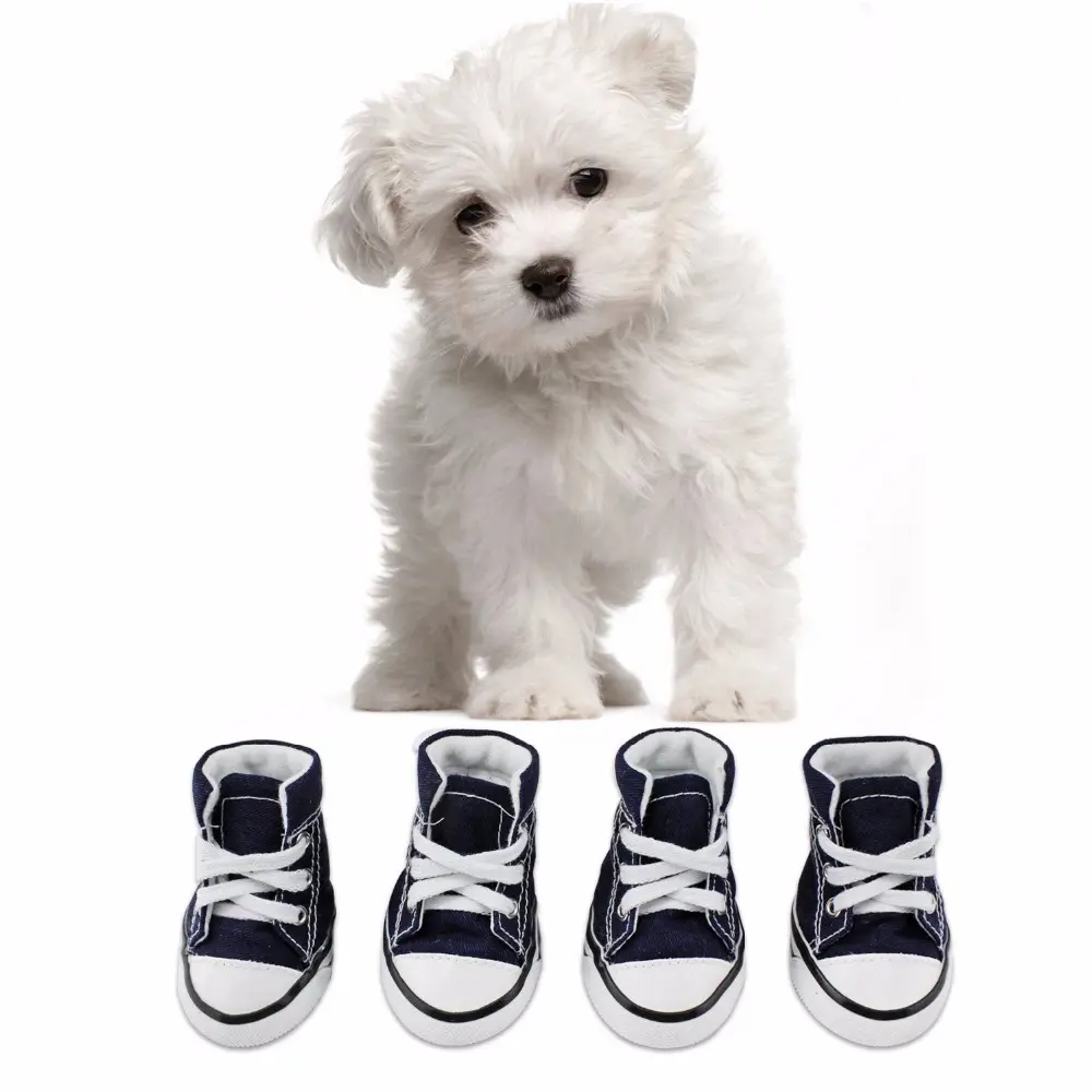 Wholesale Factory Hot Sales Cute Durable Converse Dog Shoes