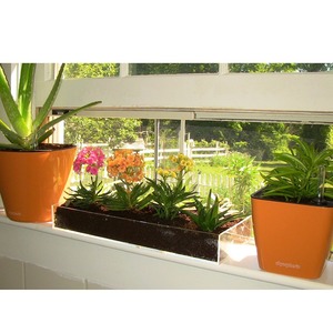 Nuovo vassoio per vasi da fiori trasparente personalizzato vassoio per fioriera a goccia in acrilico per giardini di erbe - Product Image 6