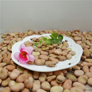 Getrocknete Sau bohnen Bulk Dry Fava Beans Preis