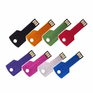 custom logo USB key 2gb , key usb flash drive 2gb company gift , key shaped USB stick 2gb promotional