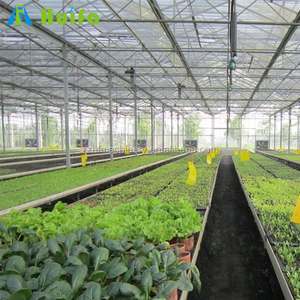 HUIFA Wholesale Greenhouse Rolling Benches Seed Nursery Bed Agricultural Greenhouse Equipment