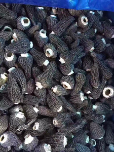 Detan सूखे जंगली मशरूम के लिए खरीदारों के लिए <span class=keywords><strong>Morel</strong></span> - Product Image 4