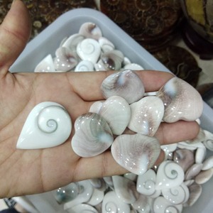 Gemme Sciolte a Forma di Cuore in Conchiglia Marina Naturale a Prezzo di Fabbrica - Product Image 3