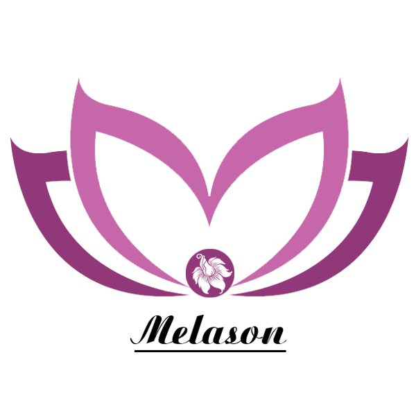 Shenzhen Melason Cosmetics Tools Co., Ltd. logo