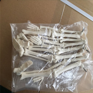 Modèle de <span class=keywords><strong>squelette</strong></span> humain en PVC ADA-A1006, 42 cm, modèle <span class=keywords><strong>anatomique</strong></span> médical pour l'enseignement scolaire - Product Image 4