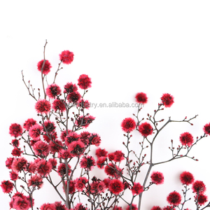 Petit beau matériel de bricolage importé verre d'herbier préservé Graduation Noël Thanksgiving pour la Saint-Valentin - Product Image 2