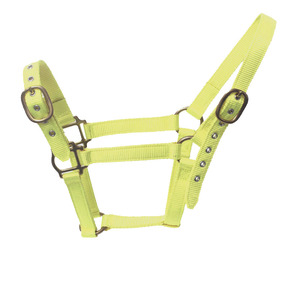 Collar de nailon árabe con cuello Halter, diseño de tu propio <span class=keywords><strong>Caballo</strong></span>, productos de marca privada - Product Image 3