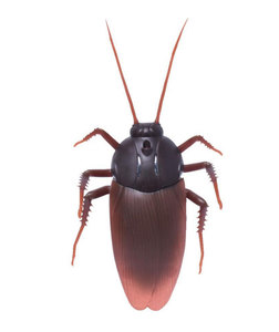 Giocattoli Insetti Scherzo DWI Dowellin Scarafaggi Telecomandati Spaventosi per Feste - Product Image 6