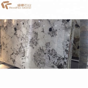 높은 품질 광택 자연 화이트 컬러 브라질 알파인 스타 화강암 석판 벽 타일 바닥 타일 조리대 장식 - Product Image 4