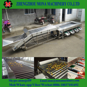 Macchina per la Selezione del Melograno/Macchina per la Classificazione delle Dimensioni delle Frutta Ovale nella Linea di Lavorazione delle Verdure - Product Image 5