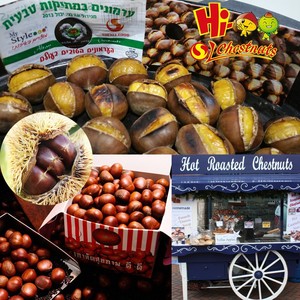 New Crop Fresh <strong>Chestnuts</strong>--Dandong <strong>Chestnuts</strong> in Big Size - Product Image 3