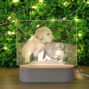 Anpassung Holz 3D Illusion LED Nachttisch lampe für Schlafzimmer
