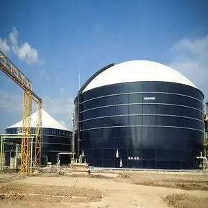 BSL Cina Harga Rendah Biogas Anaerobic Digester untuk Tanaman Dijual