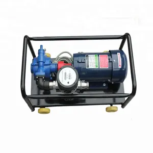 LPG 泵/1英寸 LPG 泵/小型 LPG 泵