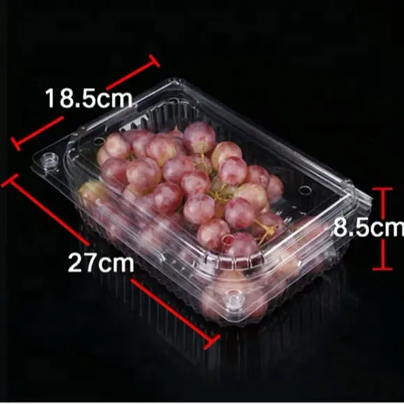 Recipiente de plástico para embalaje de frutas, concha de plástico PET con ventilación, producto de baya