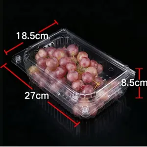 PET plastic clamshell fruit packaging container / Vented Clamshell Produce / Berry Container