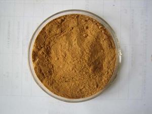 Detan <span class=keywords><strong>Pleurotus</strong></span> <span class=keywords><strong>Ostreatus</strong></span> Extrait De Champignon - Product Image 5