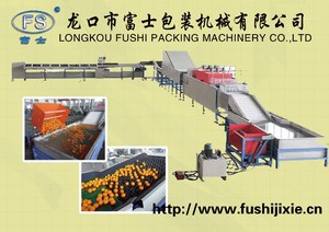 공장 콘센트 FUSHI 브랜드) 과일 및 야채 가공 세척 왁싱 및 정렬 기계 - Product Image 5