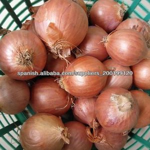 Cebolla perla - Product Image 1